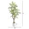 6ft. Artificial Minimalist Jacaranda Tree in White Decorative Planter